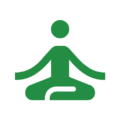 yoga koshkakorova favicon
